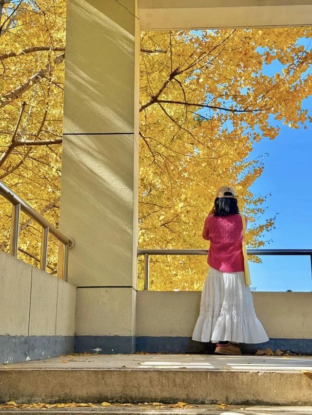 限时绝美！年度顶流！