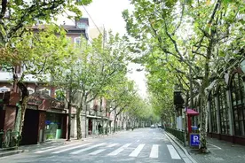 【城市印象】陕西北路上的深宅大院，繁华之处的都市书院图片