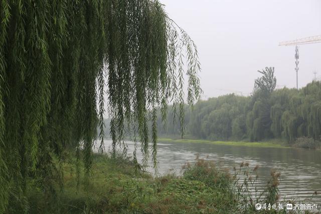 双节拍|雨中宁静的小清河