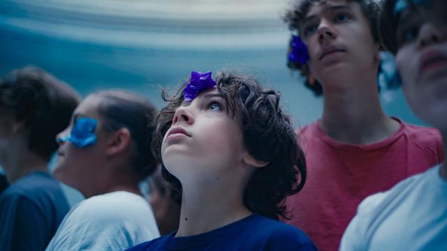 最新资讯-这届上海双年展，是给感官和心灵的“光合感化”(9)