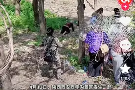 游客赏花走捷径踩踏菜地还不听劝，老人下跪恳求 当地派出所：非景区，已设围栏提醒牌图片