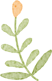 南宁秋日赏花攻略，带你一键解锁这份限定版的秋花图鉴！