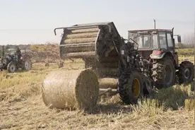 南京六合：秸秆离田 “变废为宝”图片
