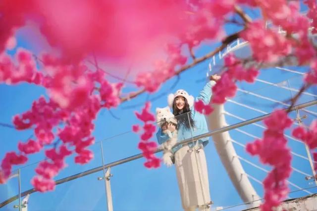 潭溪山免票活动再加码！@全国女性，三八免票福利来啦！