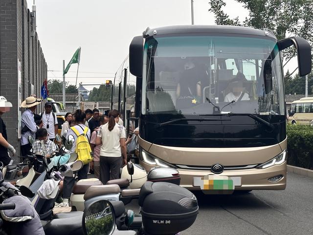 乱！公园设免费停车场，旅游大巴为何还占路停车上下客？