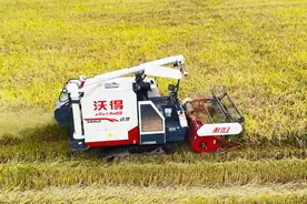 技术赋能 江苏移动激活乡村振兴“数字引擎”图片