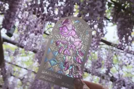 上海各景点文创周边上新！哪个你最想捧回家？图片