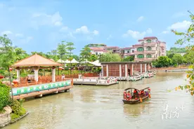 深读｜一杯“村咖”，如何飘香南庄？图片