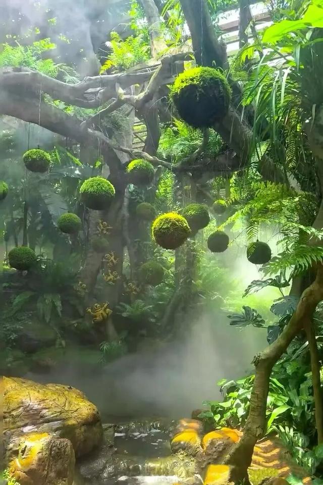 好梦幻！首届“蓝色晶溪•莫奈花园”！国庆假期来珠海这里