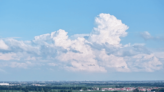 谁说冬天只有白色！快来解锁冀南新区冬日色彩