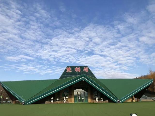 看电影《731》 享城市漫游优惠