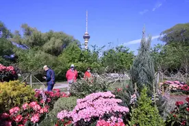 “五一”新体验！北京市属公园最实用亲子游园攻略——图片