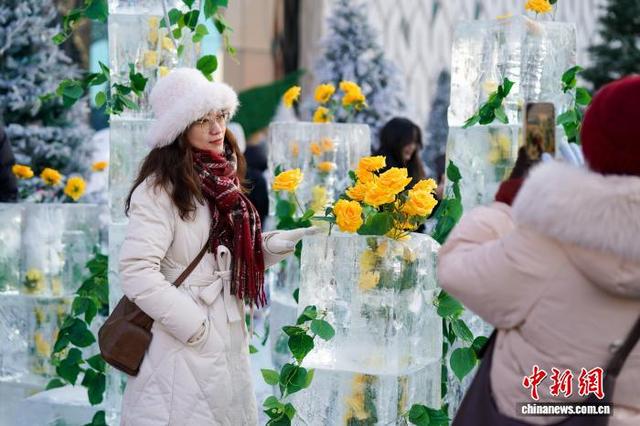 黑龙江哈尔滨：“冰封玫瑰”限定回归