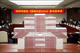 《深圳文史2024》：在建筑中找寻城市生成的肌理图片