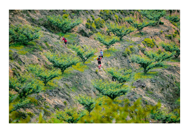 闽清新春活动更新啦！一起解锁快乐密码~