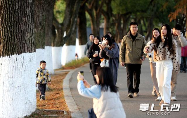 组图｜又是好天气，市民乐游园