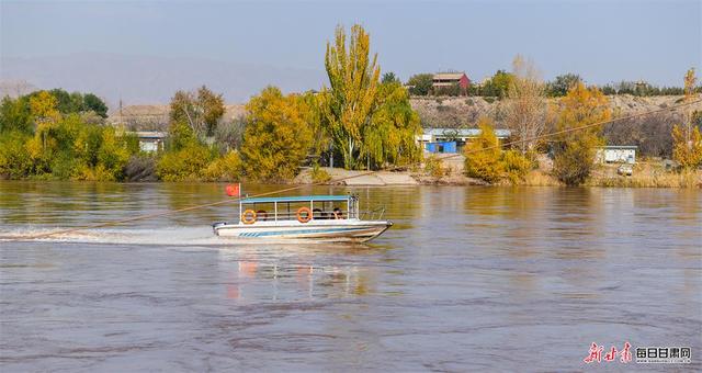 黄河绕村 石林映日 景泰龙湾村的金黄太治愈