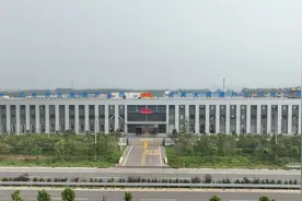 枣庄峄城石榴产业链式发展绘就乡村振兴“火红”图景｜“链”出新动能图片