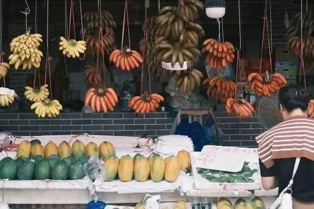 来南沙看五月天！看海、骑行……100+网红打卡点合集→