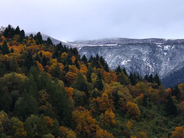 西藏林芝：色季拉山秋色浓