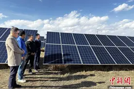 青海海东：税惠政策赋能企业向“绿”而行图片