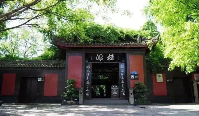 报！新都又一波桂花开啦！