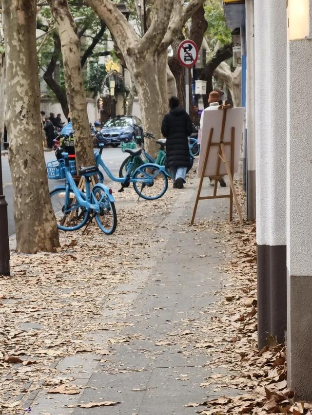 静安落叶景观道已就位！限时“治愈系地毯”已铺好，周末散步指南→