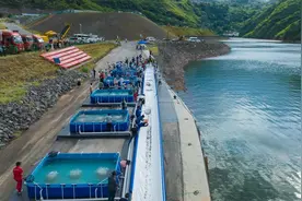 超85万尾长江上游珍稀特有鱼类放归长江图片