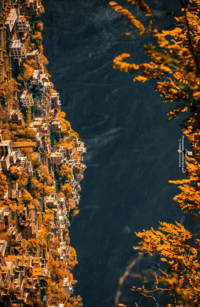 美上央视的秋景，这十条路线请你选！