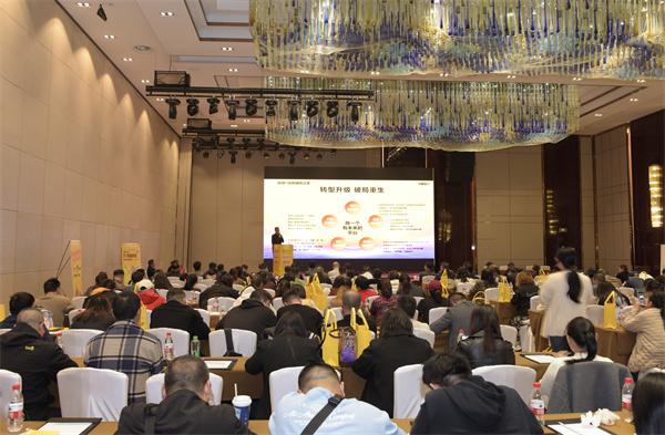 飞猪旅行落地湖南，携手定一国旅开启文旅融合新篇章