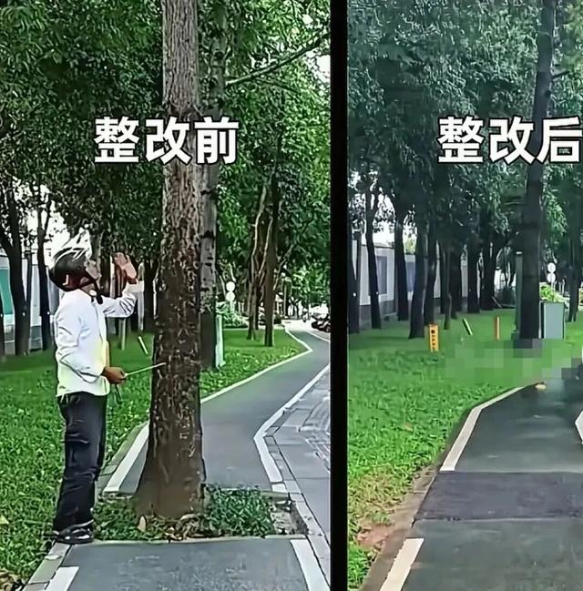 深圳“卷尺哥”走红：“爱管闲事”的市民，值得格外珍惜