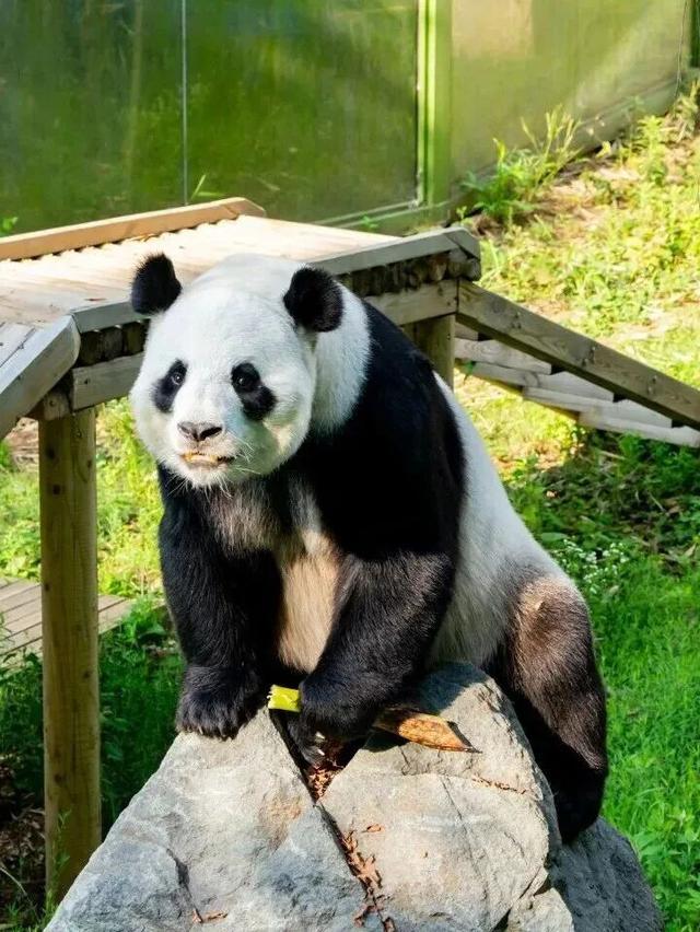 强！！！栾川又上榜了！
