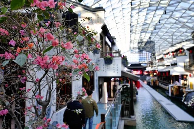 在银川坐乌篷船、看沉浸演艺！砂之船（银川）奥莱江南水街今日开街