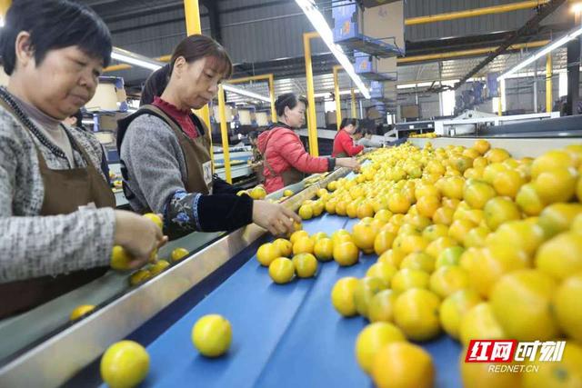 石门洞开，山水含章丨我们奔县吧·石门县篇