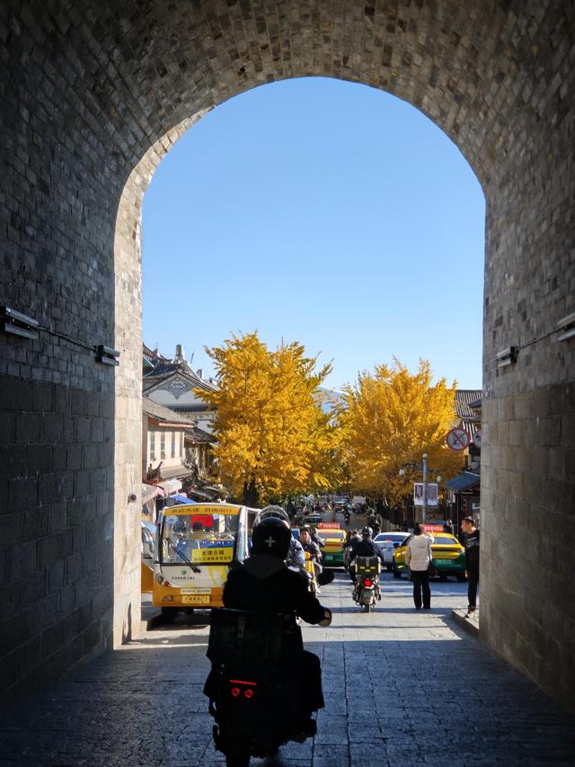 大理古城玉洱路，“满城尽带黄金甲”