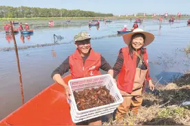 春捕开始！潜江龙虾鲜活上市图片