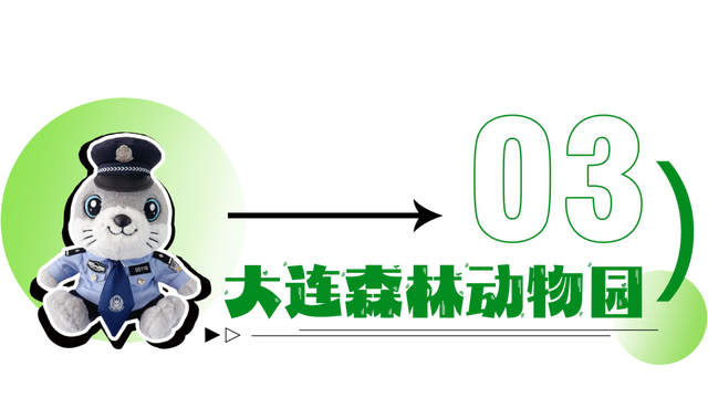 大连十一隐藏玩法！警史趣味问答赢“警豹”，这届游客玩嗨了（附攻略）→