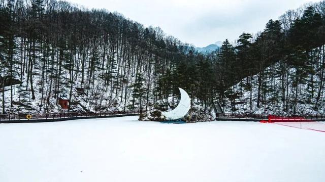 年假清零，总要留几天给洛阳