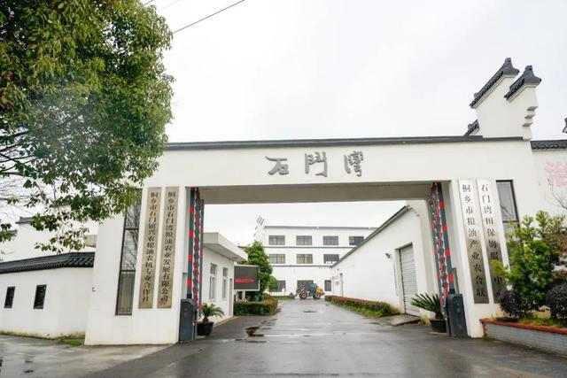 桐乡“大米书记”扎根田间诠释担当使命
