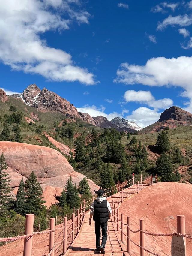 今天没有上班，也没有错过隐藏款新龙红山