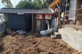 四川遭黑熊袭击的夫妻均无生命危险：保险公司会赔付，打死的黑熊将用于科研图片