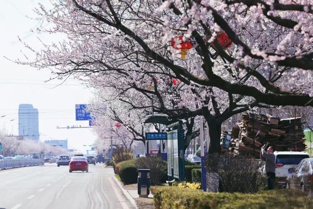 “动”“静”两相宜～颜值天花板～