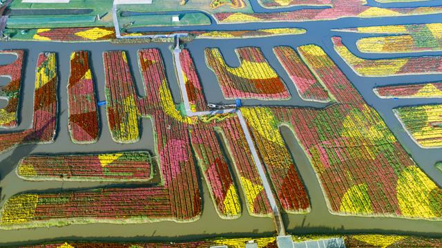 农文旅融合，看“苏中水乡”兴化如何“花开四季”