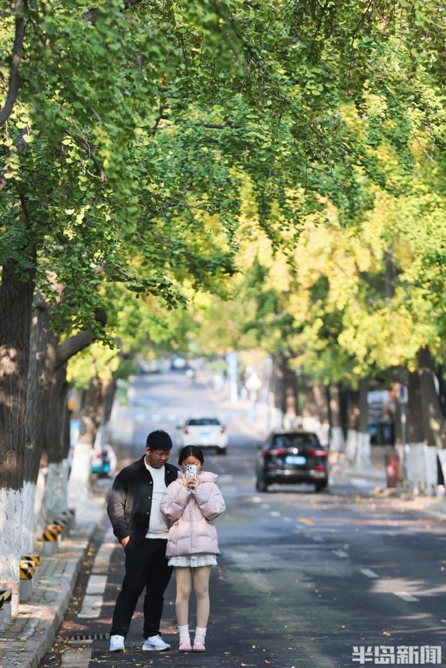 真美！又到一年赏叶时