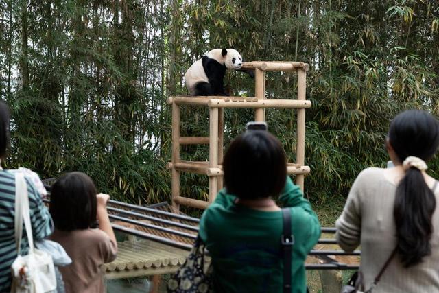 特稿｜以团结与担当谋划亚太发展新篇章——写在习近平主席出席亚太经合组织第三十二次领导人非正式会议并对韩国进行国事访问之际