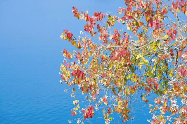 在千岛湖，这5公里要慢行！