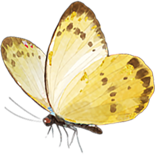 这条路超美超出圈！2月1日，一起来跑吧！