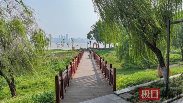 走进鹦鹉洲，徜徉在芳草萋萋的诗意里