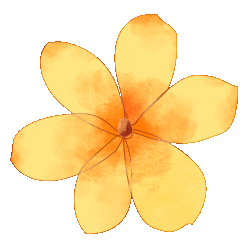 山的那边真的是海吗？为了探求真相，我决定周末就出发……