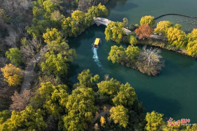 泉城斑斓如画 初冬美景醉人